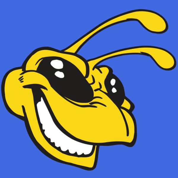 AR5 BEE 24 RQC Thumbnail