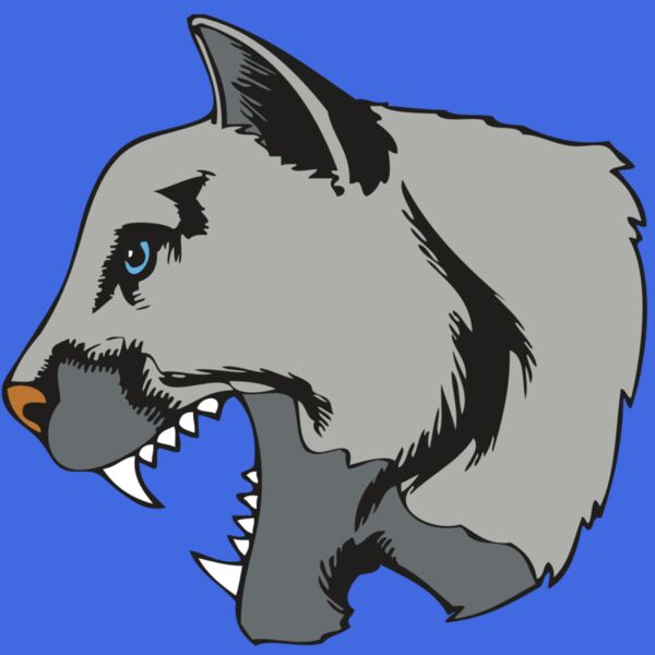 BAW COUG PANTH 15 R Thumbnail