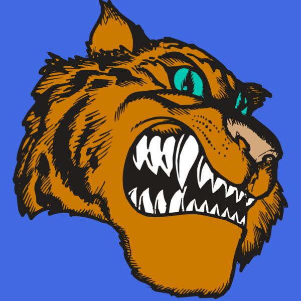 BAW TIGER 11 RC Thumbnail