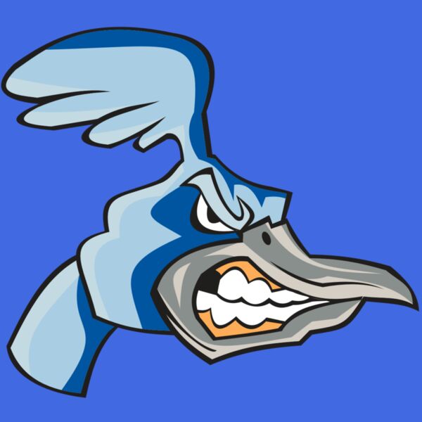 ROADRUNNER HD0503 RQC Thumbnail