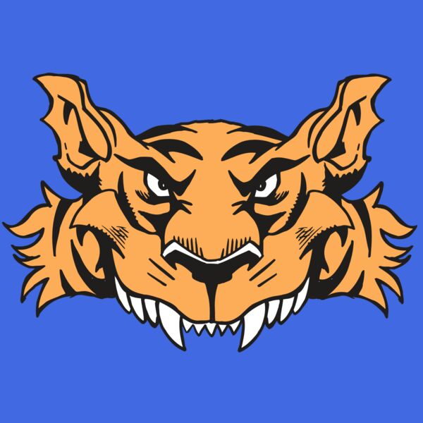 AR5 Tiger 07 RQC Thumbnail