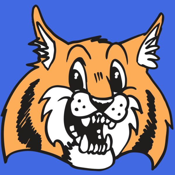 AR WILDCAT 13 RC Thumbnail