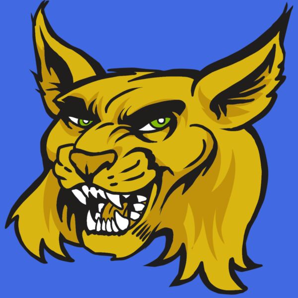 AR30 WILDCAT 03 RQC Thumbnail