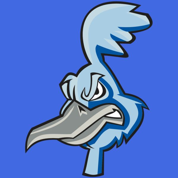 ROADRUNNER HD0501 RQC Thumbnail