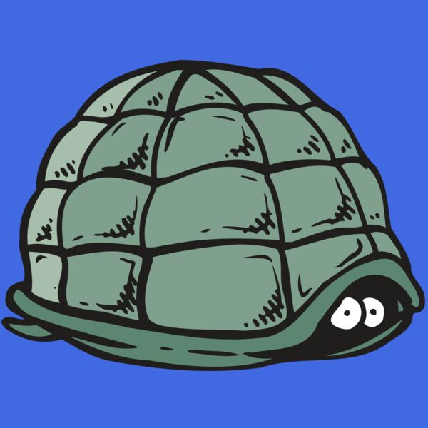 AR5 Turtle 10 RQC Thumbnail