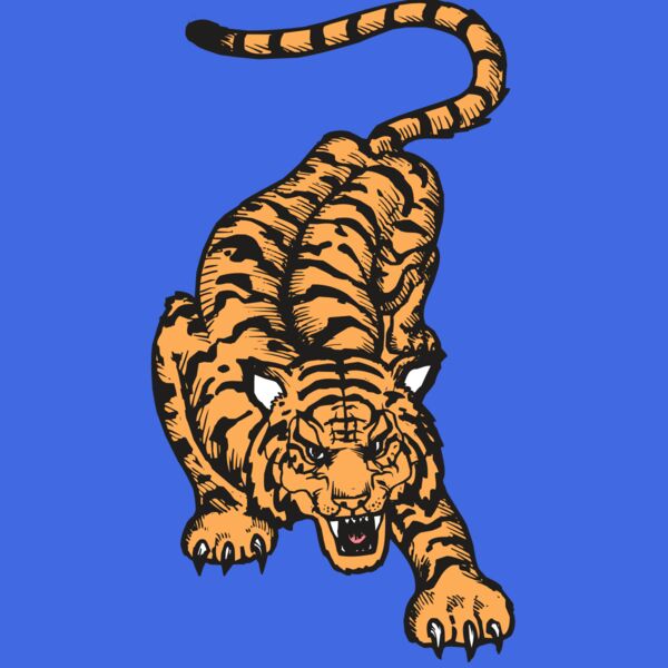 BAW TIGER 01 RC Thumbnail