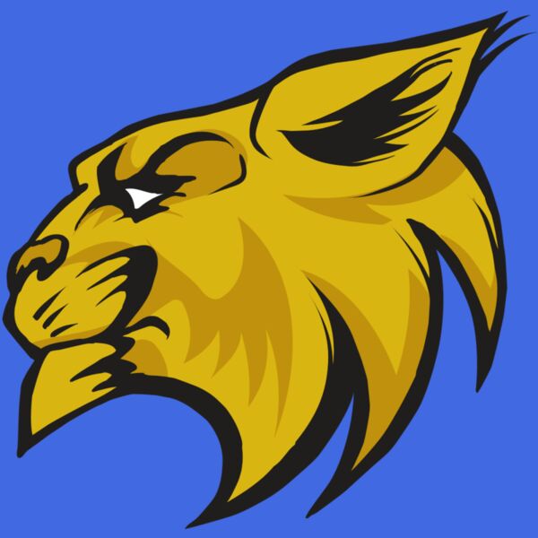 AR30 WILDCAT 02 RQC Thumbnail