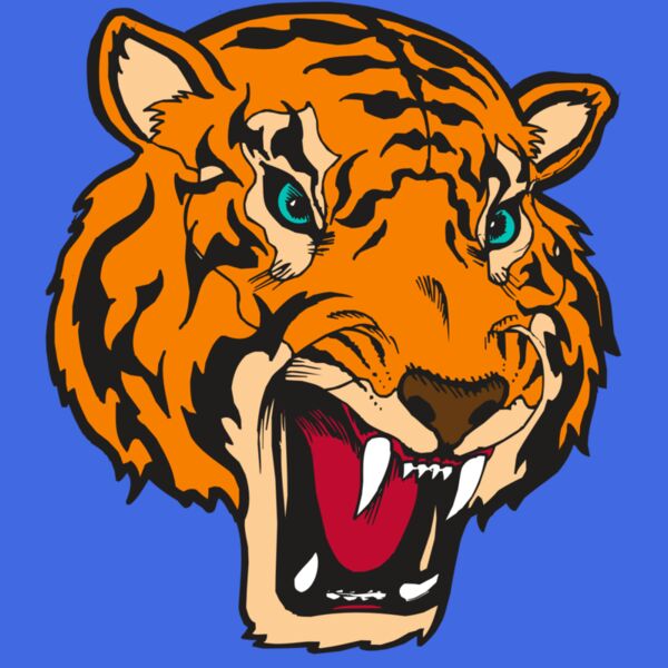 BAW TIGER 12 RC Thumbnail