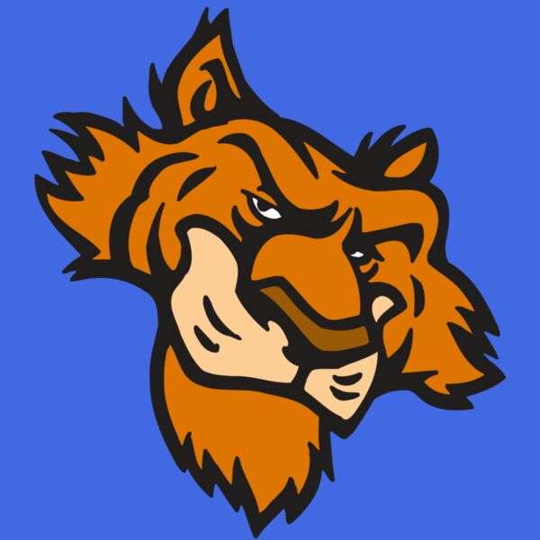 AR5 Tiger 16 RQC Thumbnail