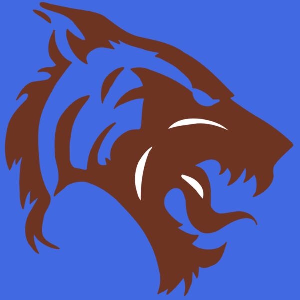 AR5 TIGER 06 RQC Thumbnail