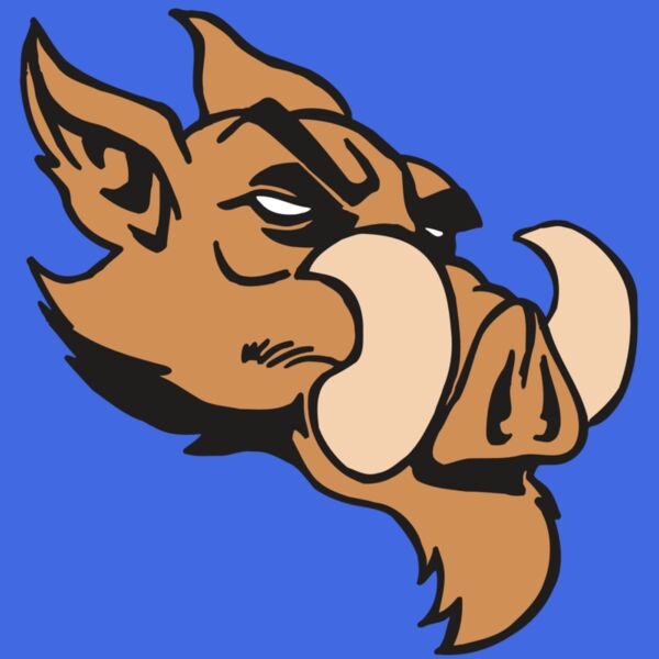 AR5 Razorback 16 RQC Thumbnail