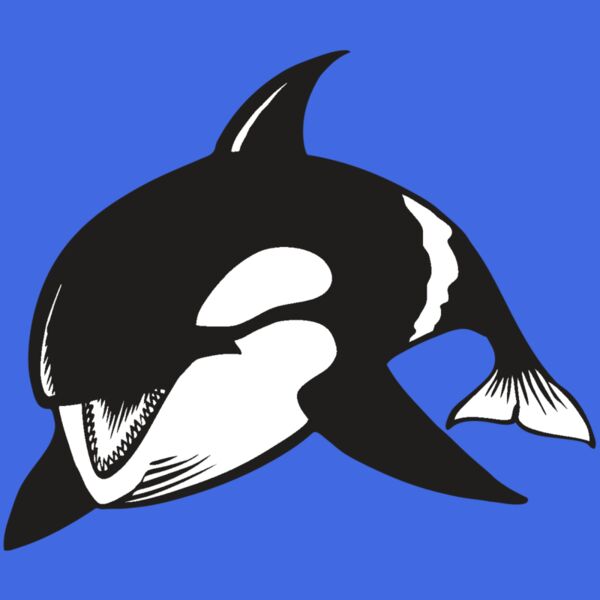 BAW KLRWHALE 04 RC Thumbnail