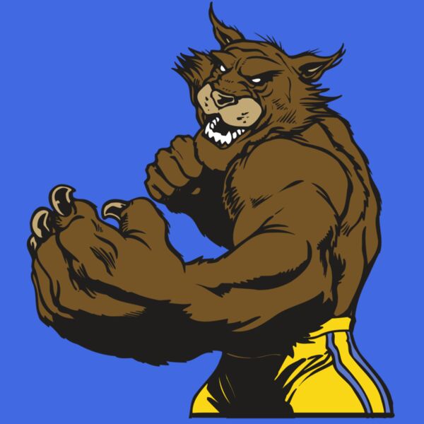 AR WILDCAT 48 RC Thumbnail