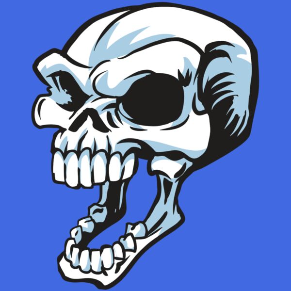 AR24 SKULL 15 RQC Thumbnail