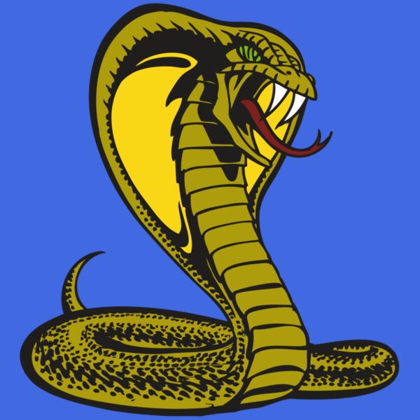 BAW SNAKE 02 RC Thumbnail