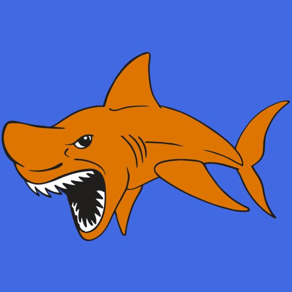 AR  SHARK 20 RC Thumbnail