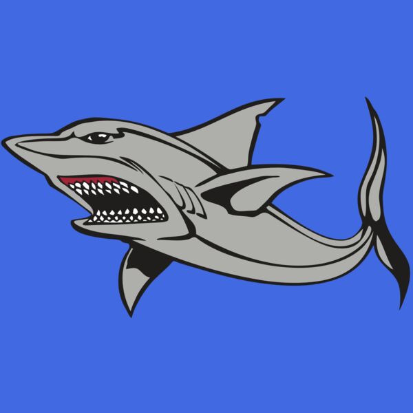 BAW SHARK 03 RC Thumbnail