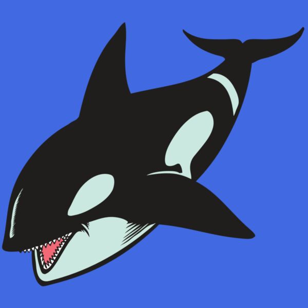 BAW KLRWHALE 02 RC Thumbnail