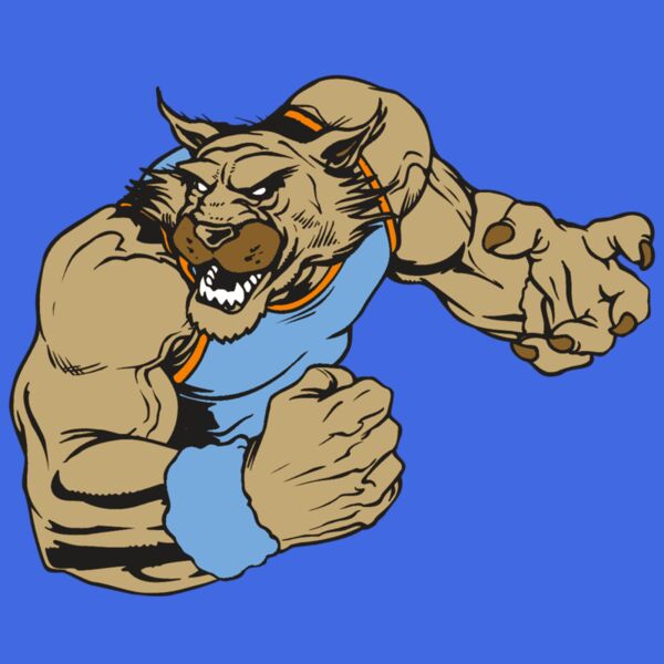 AR WILDCAT 46 RC Thumbnail