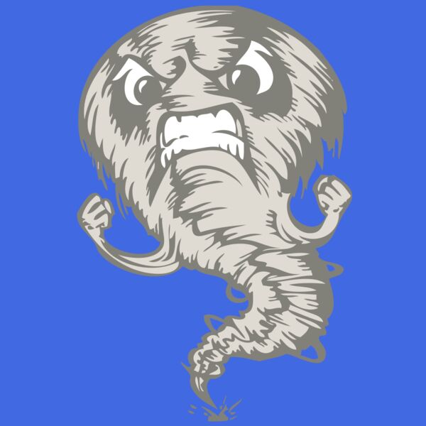 BAW STORM 07 RC Thumbnail