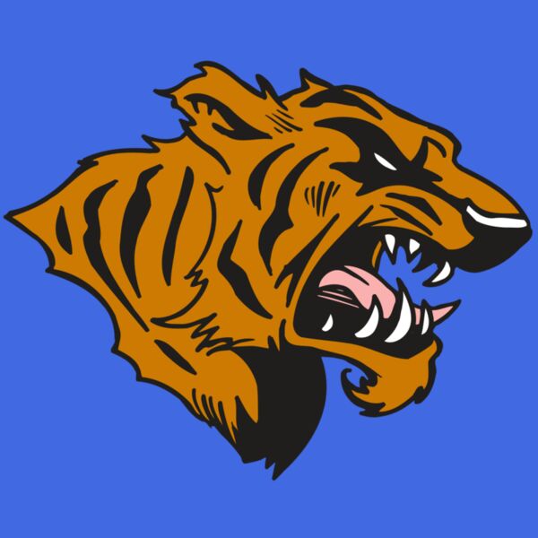 AR5 TIGER 08 RQC Thumbnail