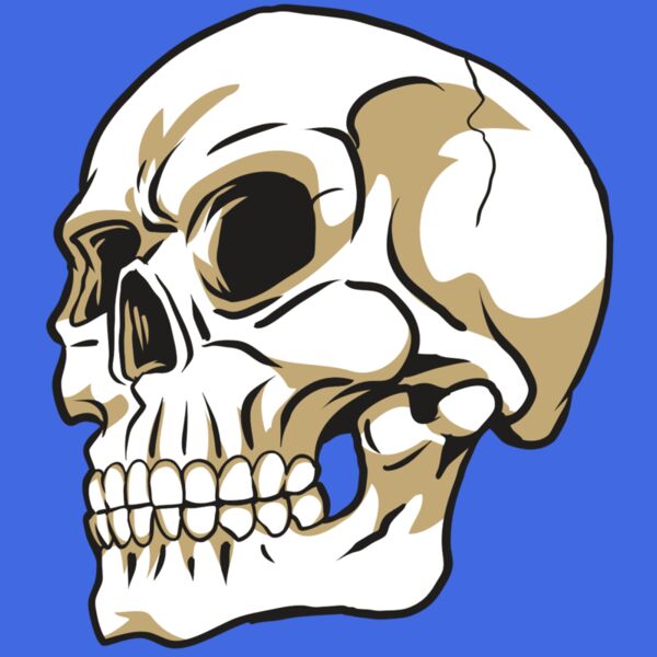 AR24 SKULL 08 RQC Thumbnail