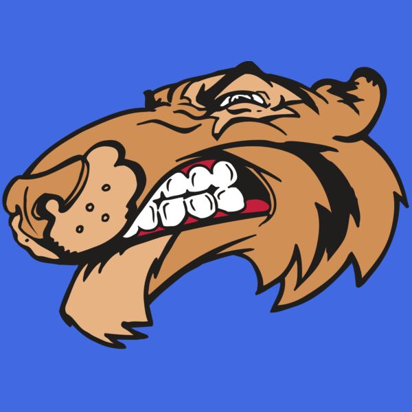 AR5 Tiger 13 RQC Thumbnail