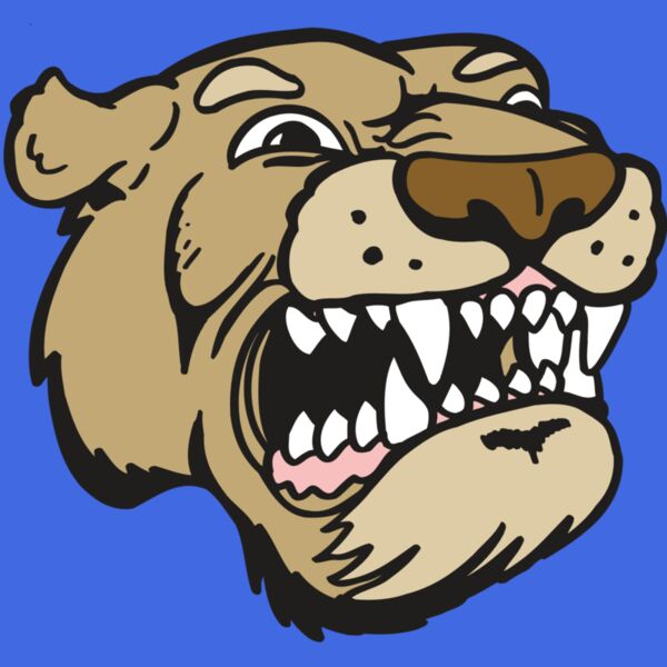 AR5 COUGAR 04 RQC Thumbnail