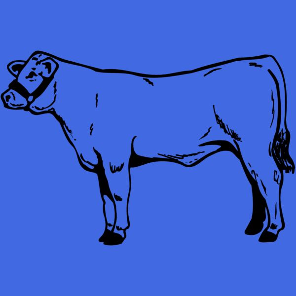COW017 Thumbnail