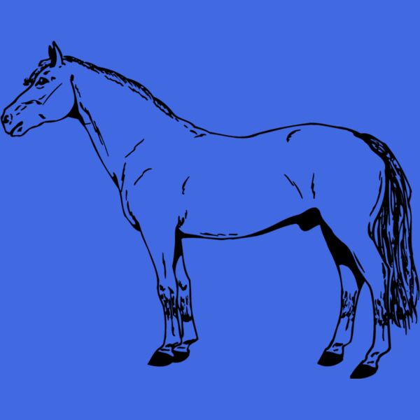 HORSE027 Thumbnail