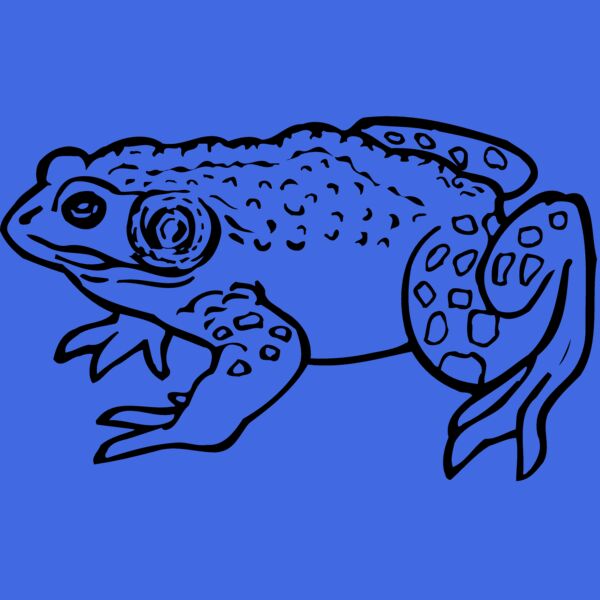 FROG02 Thumbnail
