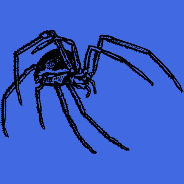 SPIDER01 Thumbnail