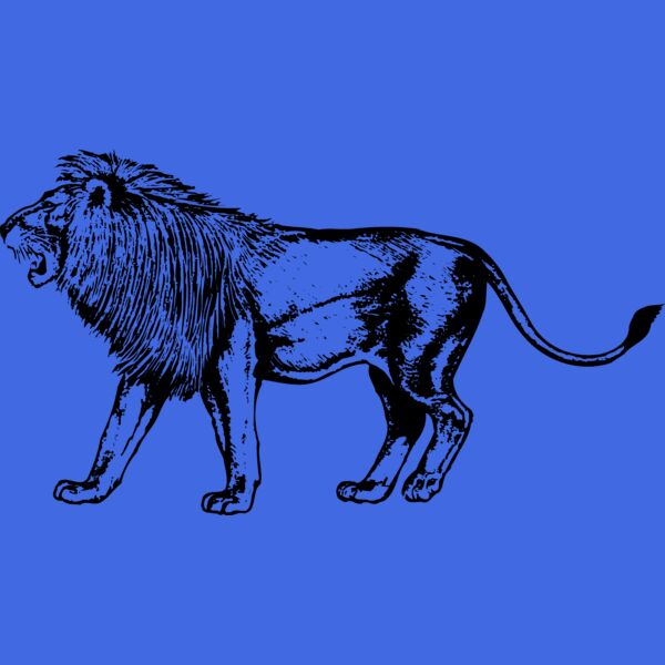 LION003 Thumbnail